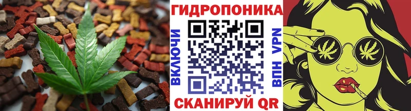 Cannafood конопля  Усть-Джегута 