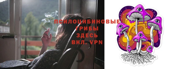 марки nbome Заречный