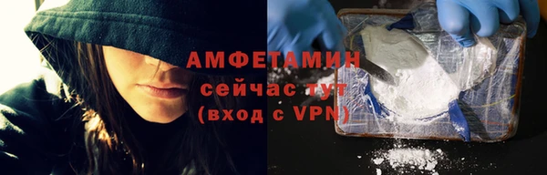 ECSTASY Тайга