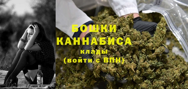 ПСИЛОЦИБИНОВЫЕ ГРИБЫ Заполярный