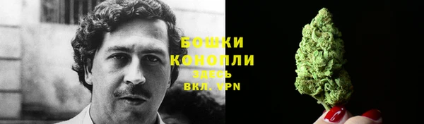 ПСИЛОЦИБИНОВЫЕ ГРИБЫ Заполярный