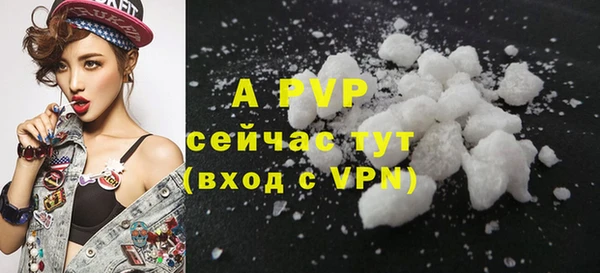ПСИЛОЦИБИНОВЫЕ ГРИБЫ Заполярный