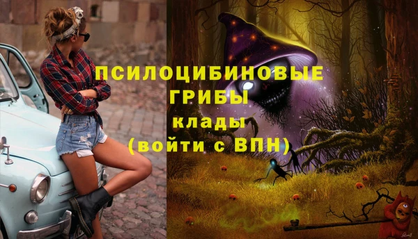 марки nbome Заречный
