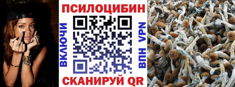 Галлюциногенные грибы мухоморы Усть-Джегута